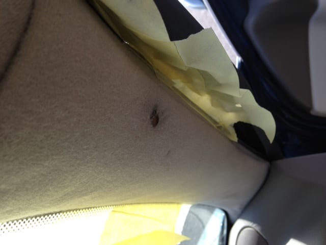 Jaguar Cigarette burn